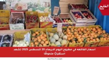 أسعار الفاكهة في مطروح اليوم الأربعاء 20 أغسطس 2025 تشهد استقرارًا ملحوظًا